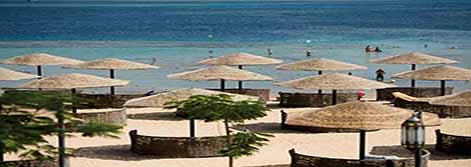 Sunwing Family Star (Red Sea Hotels) Sunwing Family Star (Red Sea Hotels)